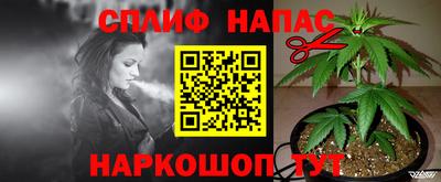 спайс Нальчик