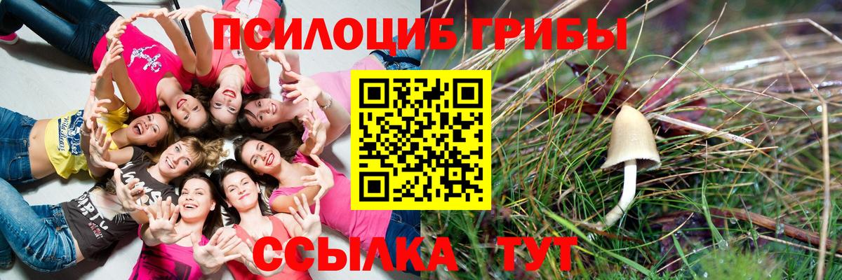 Галлюциногенные грибы мицелий Чебоксары